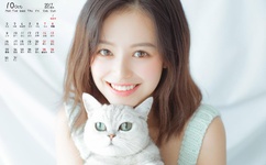 野花高清在线观看免费动漫